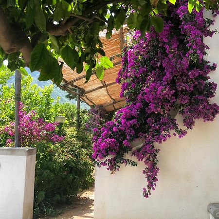 Casa Flora Bed and Breakfast Vietri Buitenkant foto