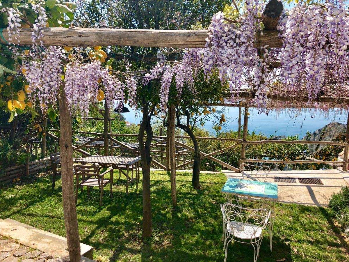 Casa Flora Bed and Breakfast Vietri Buitenkant foto