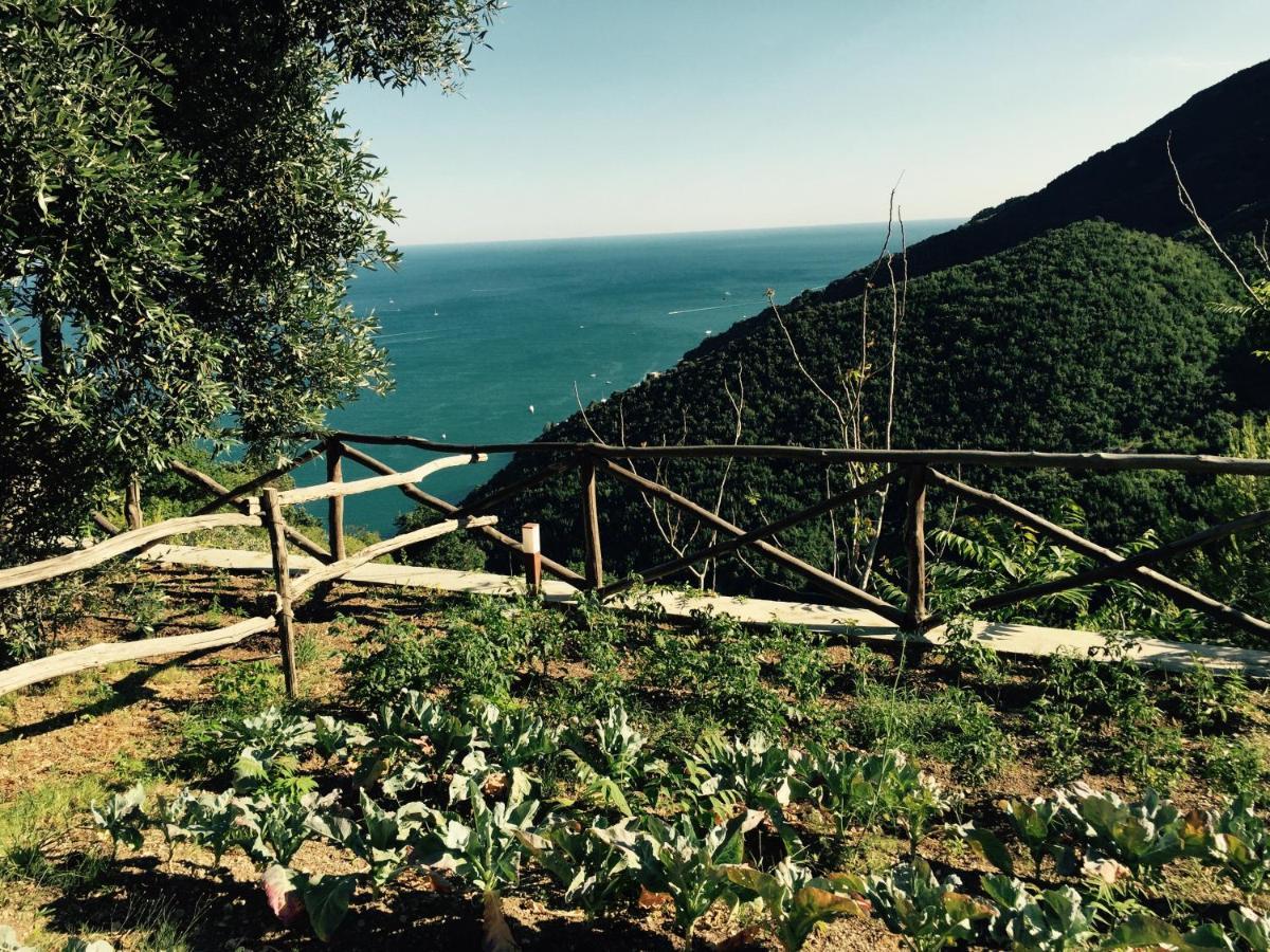 Casa Flora Bed and Breakfast Vietri Buitenkant foto