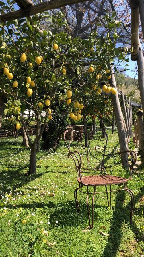 Casa Flora Bed and Breakfast Vietri Buitenkant foto