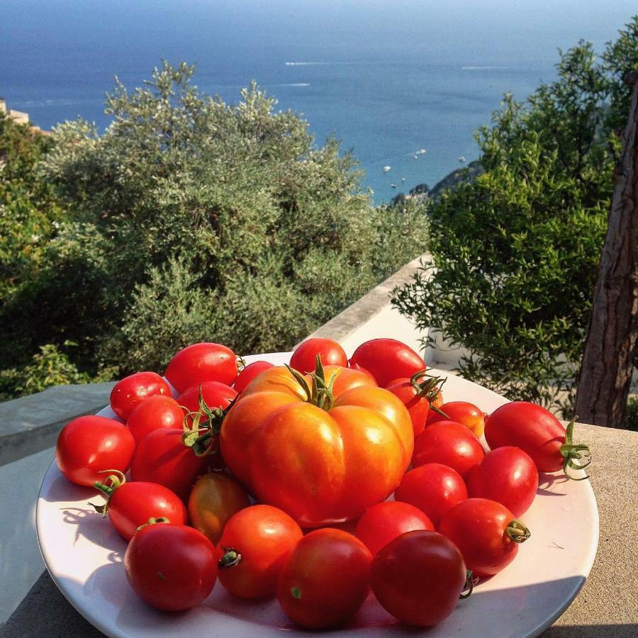 Casa Flora Bed and Breakfast Vietri Buitenkant foto
