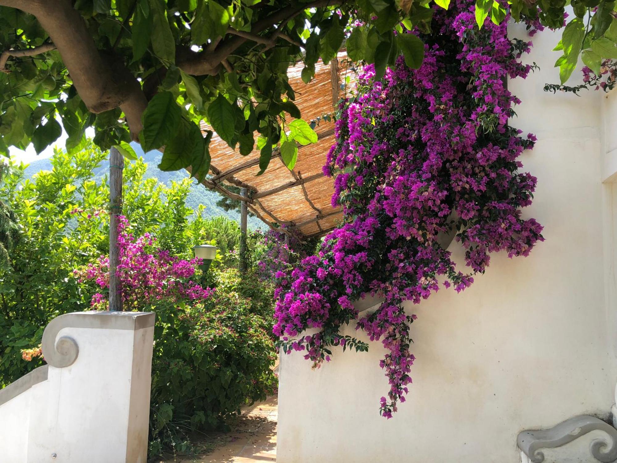 Casa Flora Bed and Breakfast Vietri Buitenkant foto