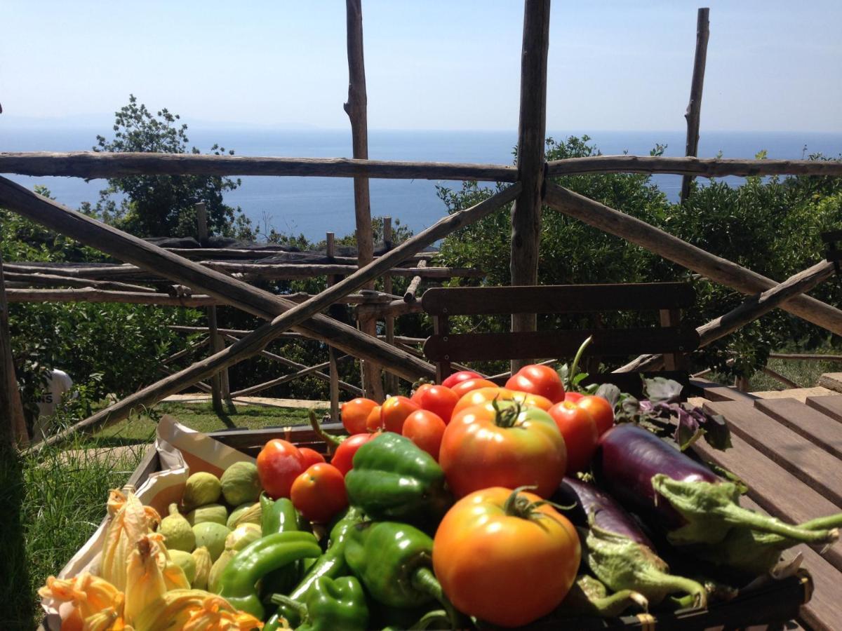 Casa Flora Bed and Breakfast Vietri Buitenkant foto